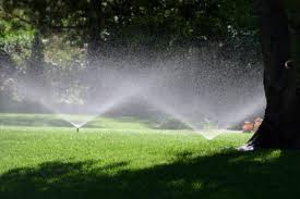 GREEN Tips for Watering Your Landscape This Summer