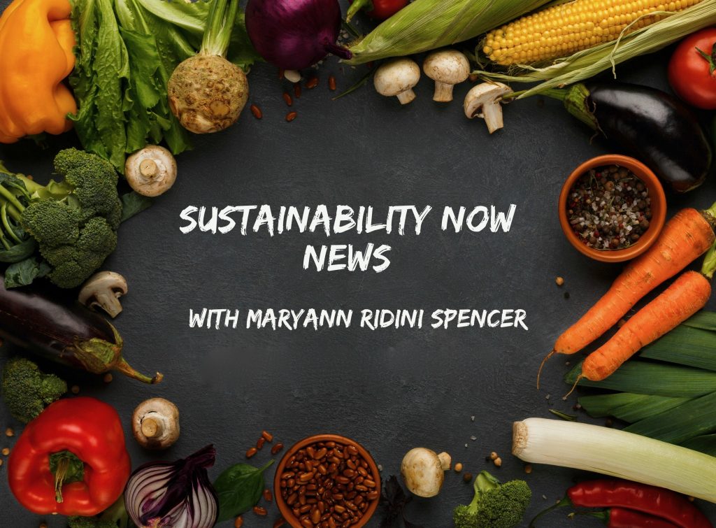 Sustainability Now News Column