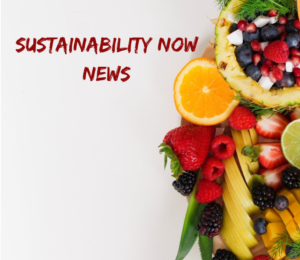Sustainability Now NEWS.com