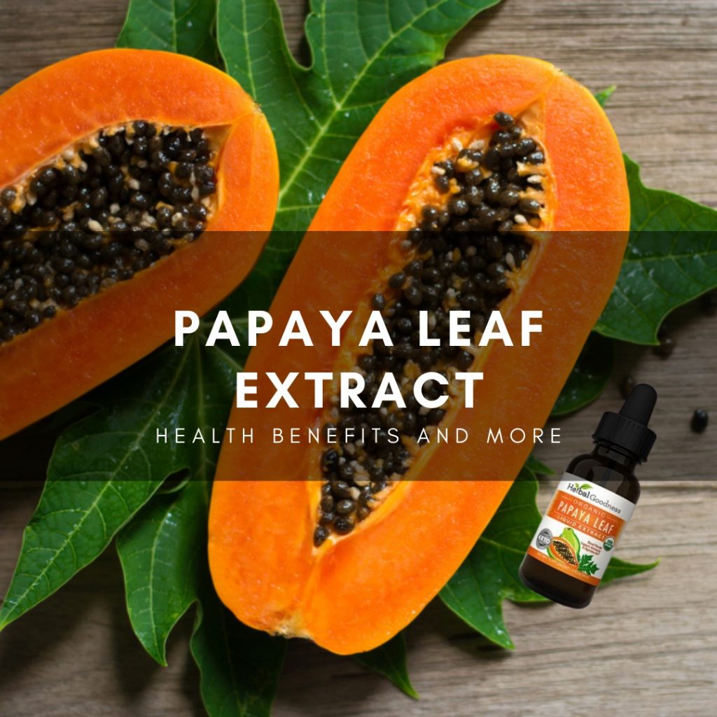 Papaya Leaf Extract Health Benefits and More