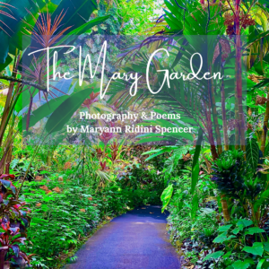 The-Mary-Garden