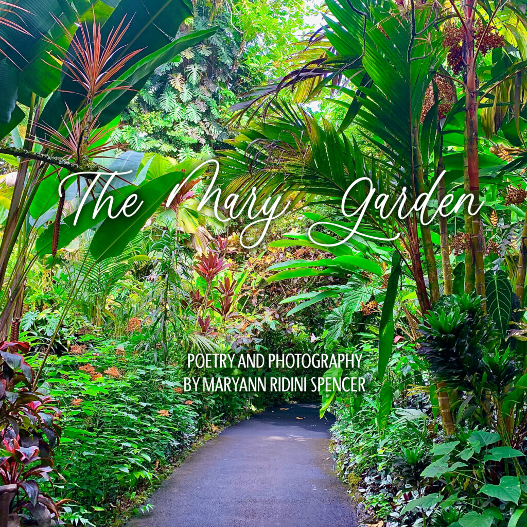 The Mary Garden FREE EPUB DOWNLOAD Thursday, July 24 through Saturday, July 26